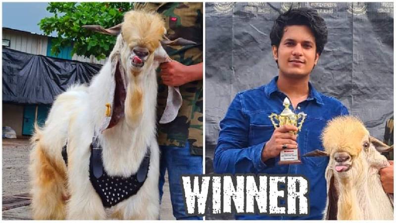 Altamash Hasan with his award winning goat