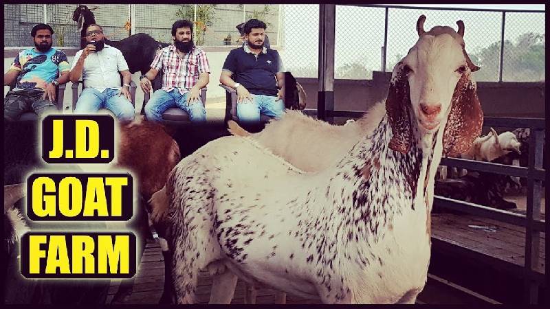 JD Goat Farm Mumbai